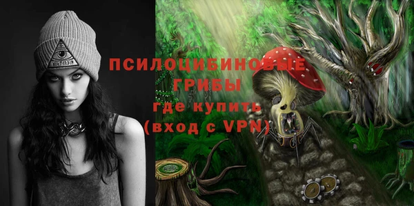 a pvp Верея